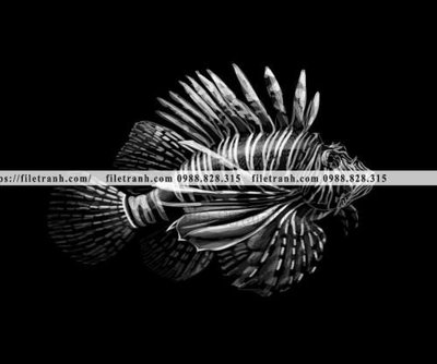 File gốc tranh chan dung dong vat den trang 1502 (in tráng gương) nghệ thuật