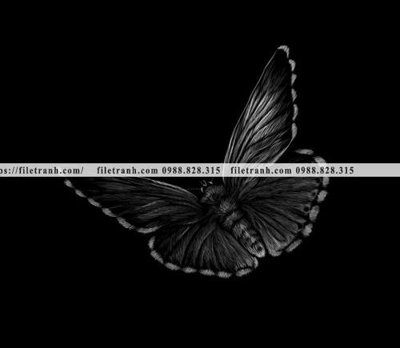 File PSD tranh chan dung dong vat den trang 1517 (nguyên gốc) chất lượng cao