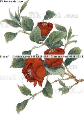 File tranh gốc PSD tranh co ve trung quoc 514 còn nguyên layer