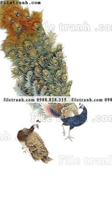 File gốc tranh co ve trung quoc 574 (thiết kế) cho in ấn