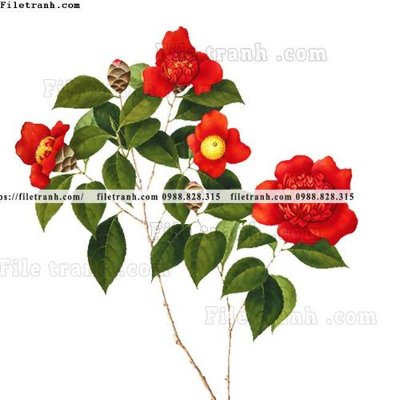 File gốc tranh co ve trung quoc 580 (ảnh chi tiết) để in lụa