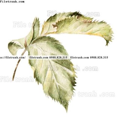 File tranh tranh co ve trung quoc 590 (bản gốc) treo quán cafe