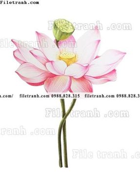 Tải file gốc tranh co ve trung quoc 592 (bản PSD) đầy đủ layer