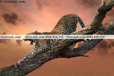 File in trần tranh con bao 652 (bản gốc) phong cảnh