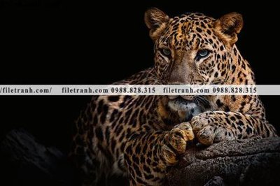 File in lụa tranh con bao 653 (tân cổ điển) tranh con bao 653