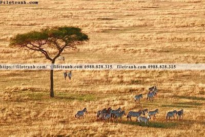 Download file tranh tranh con ngua van 510 (file gốc PSD)