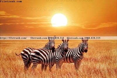 Tải file tranh con ngua van 522 (gốc) in nhanh