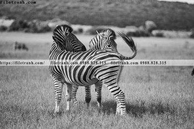 Tải file gốc tranh con ngua van 523 (bản PSD) gốc