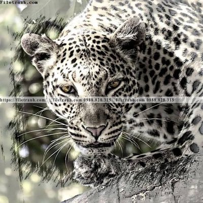 File in trần tranh con su tu 503 (bản gốc) trời sao