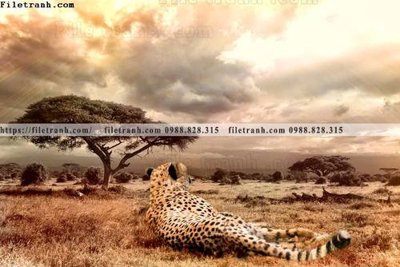 File PSD tranh con su tu 515 (gốc) cho in quảng cáo