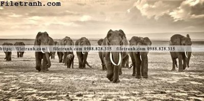 Tệp tin gốc tranh con voi 118 (dùng cho in) tranh con voi 118