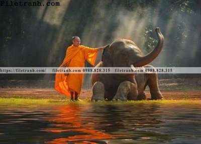 Tải file tranh con voi 126 (ảnh gốc) file AI/EPS