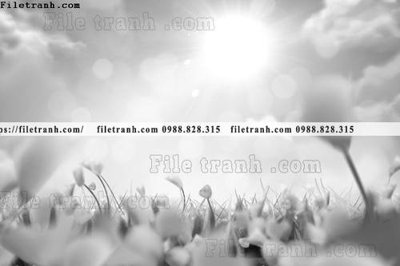 Tải file tranh da tuong hoat hinh minh hoa 218 (gốc) làm tranh trang trí