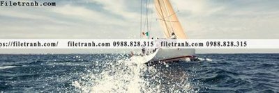 File gốc tranh dau giuong thuyen buom 627 (in mica) trang trí