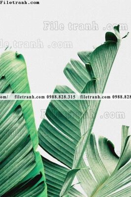 File tranh gốc tranh decor hien dai tong hop 610 (sắc nét từng chi tiết)