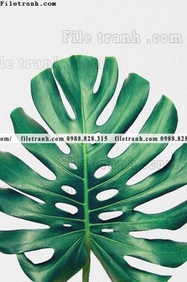 File gốc tranh decor hien dai tong hop 611 (Filetranh.com) tranh decor hien dai tong hop 611