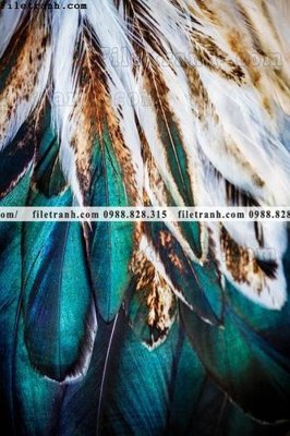 Tệp tin gốc tranh decor hien dai tong hop 687 (chất lượng cao) tranh decor hien dai tong hop 687