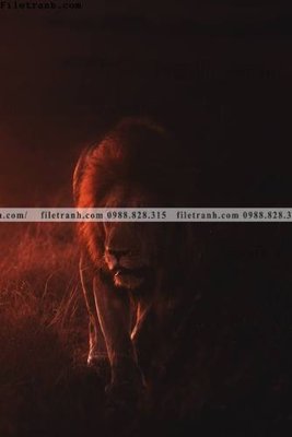 Download file tranh den trang dong vat 502 (gốc) in mica ốp bếp