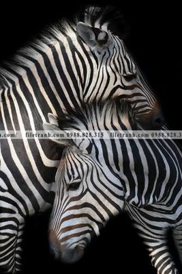 Download file tranh den trang dong vat 503 (gốc) in mica cao cấp