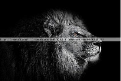 File in lụa tranh den trang dong vat 516 (chất lượng cao) tranh den trang dong vat 516