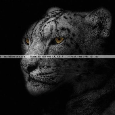 Download file gốc tranh den trang dong vat 522 (in mica) logo