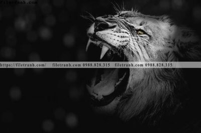 File gốc tranh den trang dong vat 525 (in lụa) cao cấp