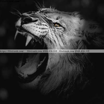 File gốc in ấn tranh den trang dong vat 526 chất lượng vượt trội