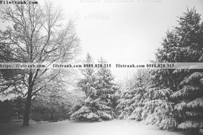 Download file tranh den trang phong canh 502 (gốc) in mica ốp bếp