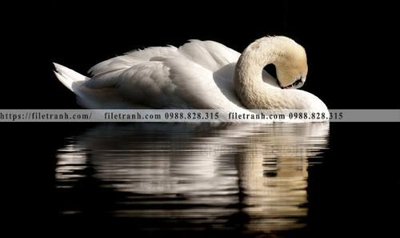 File PSD tranh den trang phong canh 515 (nguyên bản) cho thiết kế