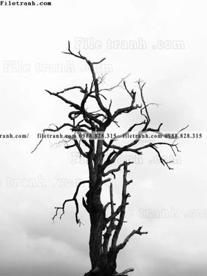 Hình ảnh file gốc in trần nhà tranh den trang phong canh 534