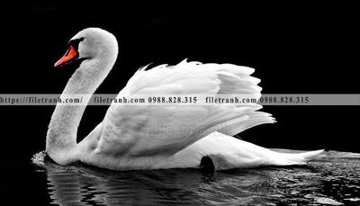 File tranh gốc tranh den trang phong canh 537 (bản quyền) độc đáo