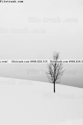 Tệp tin gốc tranh den trang phong canh 549 (chất lượng) tranh den trang phong canh 549