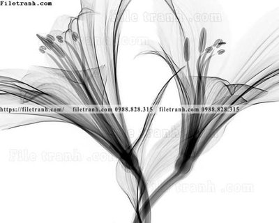 File in trần tranh den trang phong canh 562 (bản gốc) hoa văn