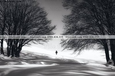 Tải file gốc tranh den trang phong canh 585 (in khổ lớn) không vỡ