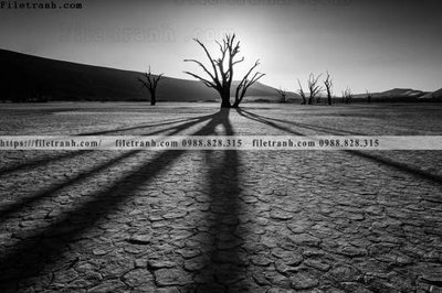 File tranh tranh den trang phong canh 603 (ảnh gốc) chi tiết rõ ràng