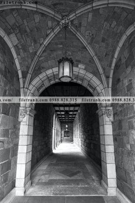 File PSD tranh hanh lang 3d 369 (gốc) nhiều lớp (multi-layer)