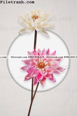 Tải file tranh hieu ung ba chieu tron phong cach Trung Quoc 270 (gốc) để in ấn ngay