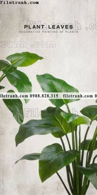 File tranh in tráng gương tranh hoa la phong cach bac au 602 (siêu nét)