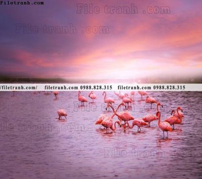 File gốc tranh hong hac dep 310 (phiên bản chuẩn) để in ấn