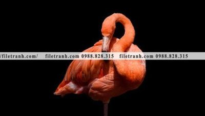 File gốc tranh hong hac dep 385 (ảnh chi tiết) để in lụa