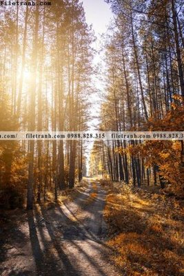 Tệp tin gốc tranh loi vao phong canh doc 532 (chất lượng cao) tranh loi vao phong canh doc 532