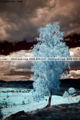 Mua file gốc tranh loi vao phong canh doc 545 (chất lượng) tại Filetranh.com