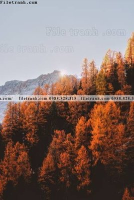 File tranh tranh loi vao phong canh doc 546 (gốc) in trên kính