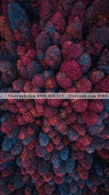 Download file tranh loi vao phong canh doc 549 (gốc) cho xưởng in