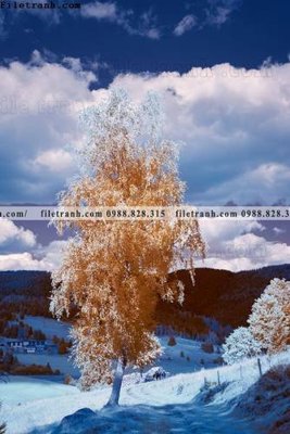 File gốc tranh loi vao phong canh doc 551 (dành cho trang trí nội thất)