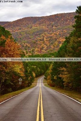 Tải file tranh loi vao phong canh doc 574 (gốc) để in ấn ngay