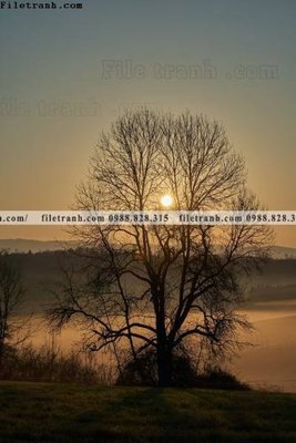 File gốc tranh loi vao phong canh doc 576 (in tráng gương) ốp tường