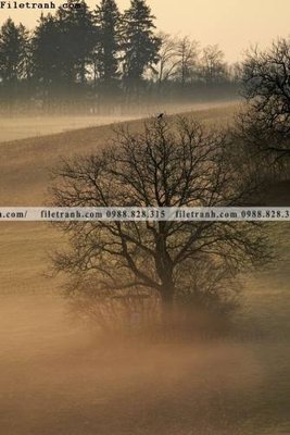 File ảnh tranh loi vao phong canh doc 583 (gốc) in PP, decal