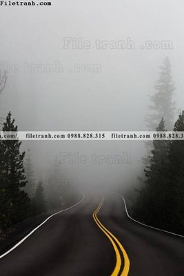 File in mica tranh loi vao phong canh doc 585 (bản gốc) siêu trong