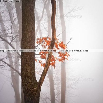 File gốc tranh loi vao phong canh doc 599 (in lụa) tranh phong thủy